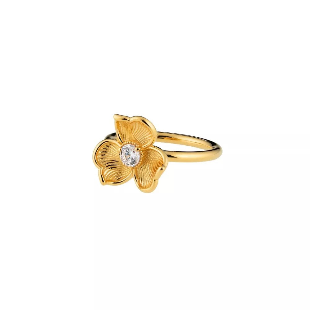 Lumoava Anna sormus kullattua hopeaa  L62263830000